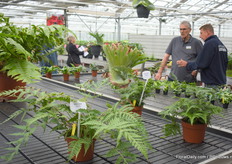 Er werd druk gepraat over hun varens.